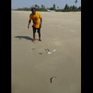 Der Fischer kann soeben aus dem Wasser von seinem Netz und hatte die Fische in seinen Taschen gesammelt